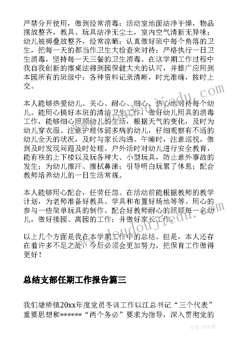 2023年总结支部任期工作报告(优质9篇)