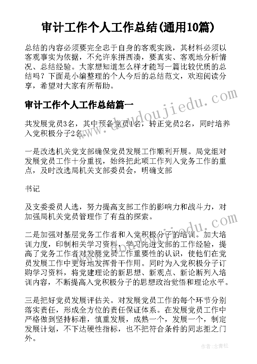 审计工作个人工作总结(通用10篇)