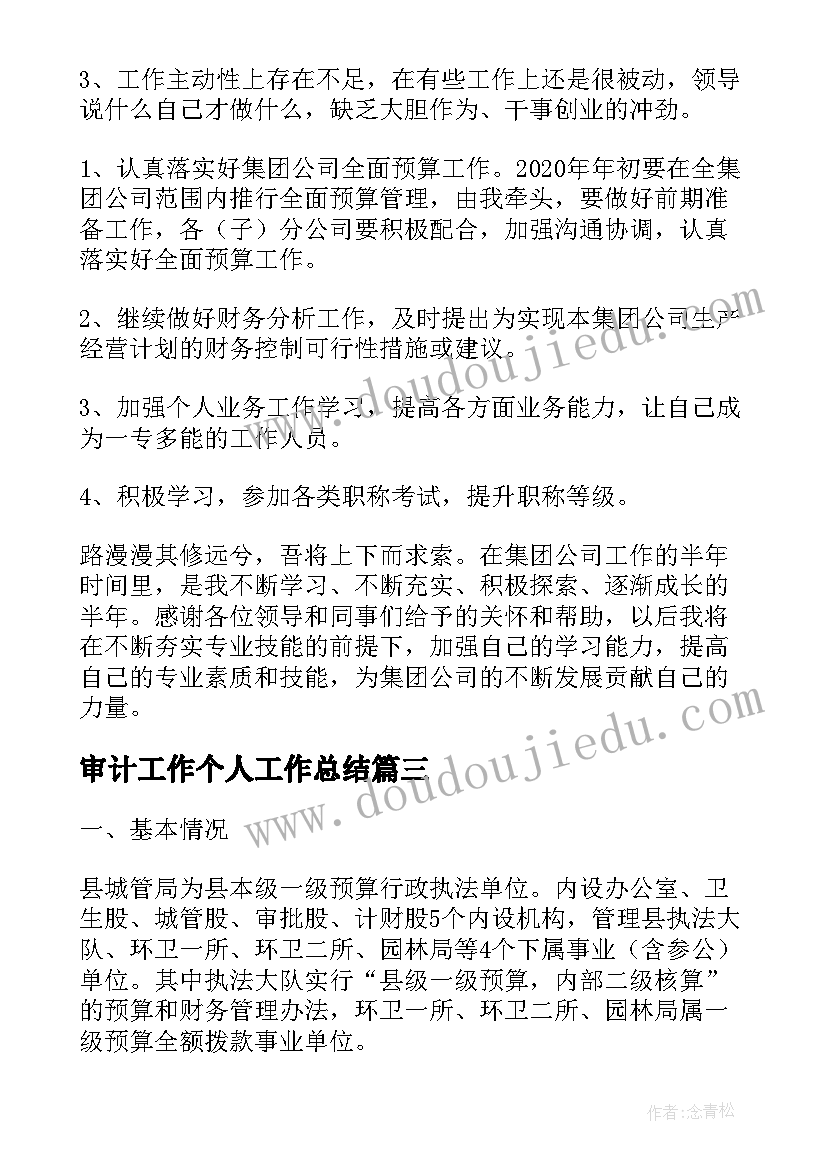 审计工作个人工作总结(通用10篇)