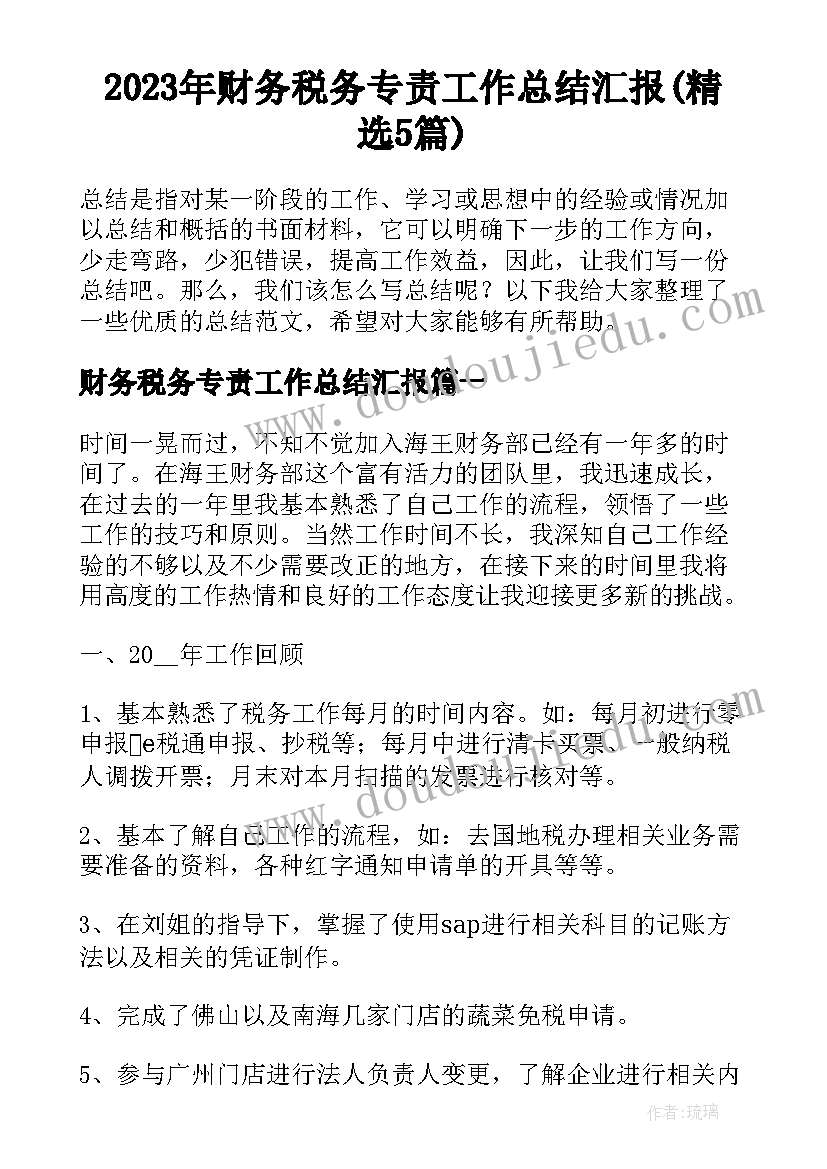 2023年财务税务专责工作总结汇报(精选5篇)