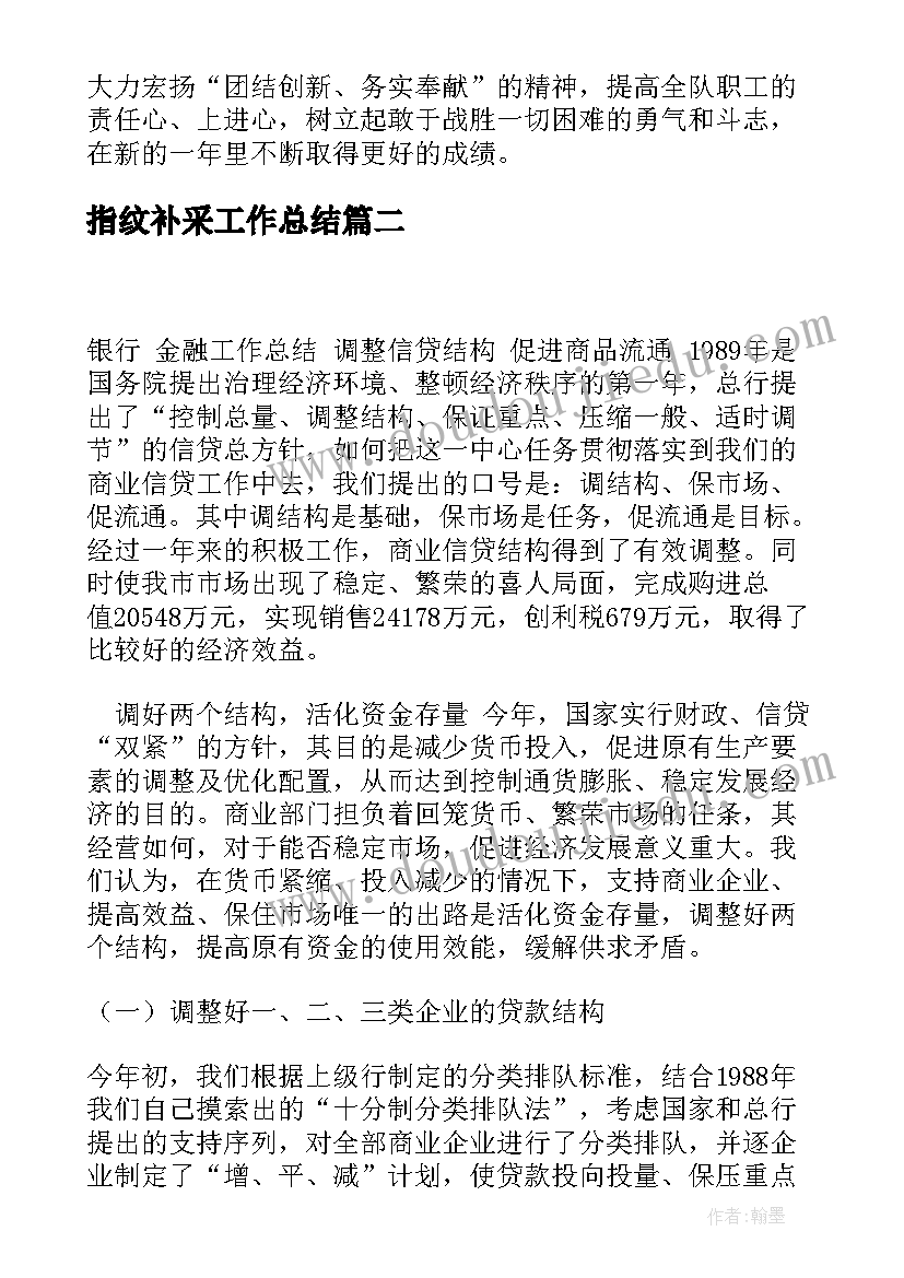 2023年指纹补采工作总结(大全5篇)