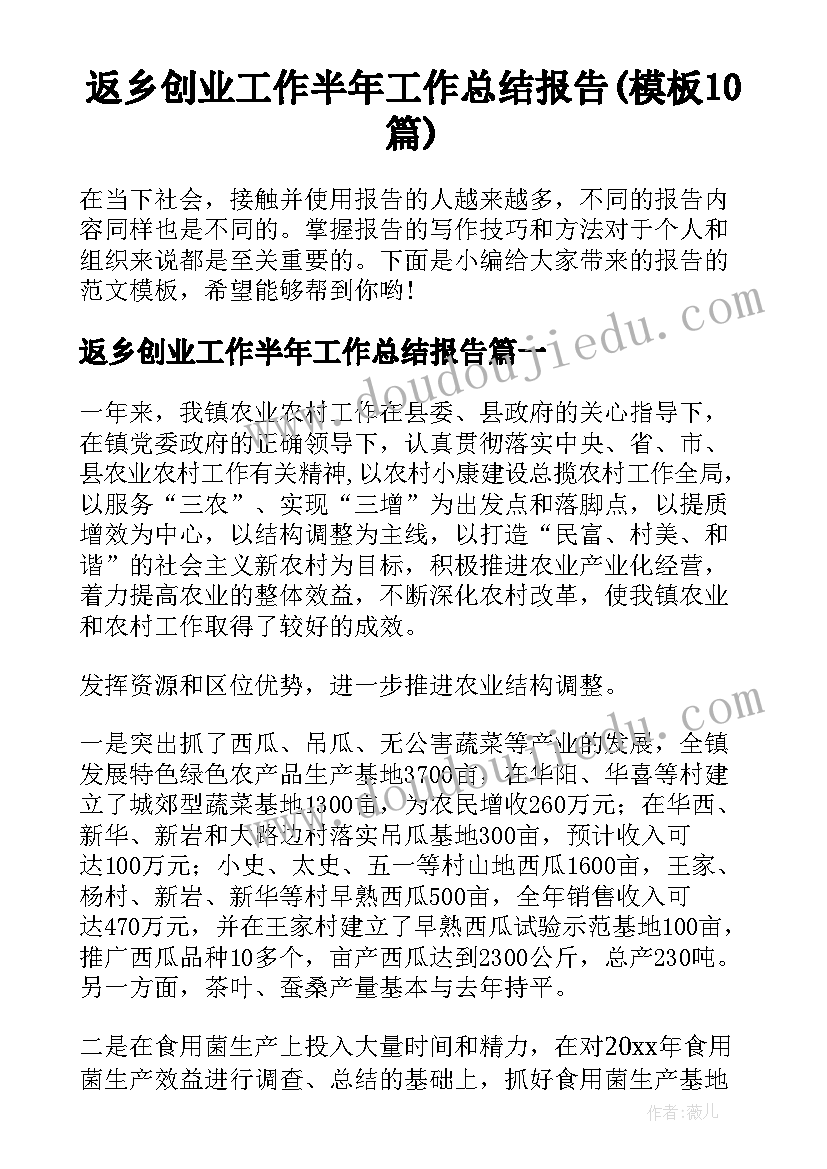 返乡创业工作半年工作总结报告(模板10篇)