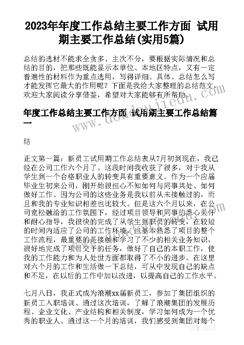 2023年年度工作总结主要工作方面 试用期主要工作总结(实用5篇)