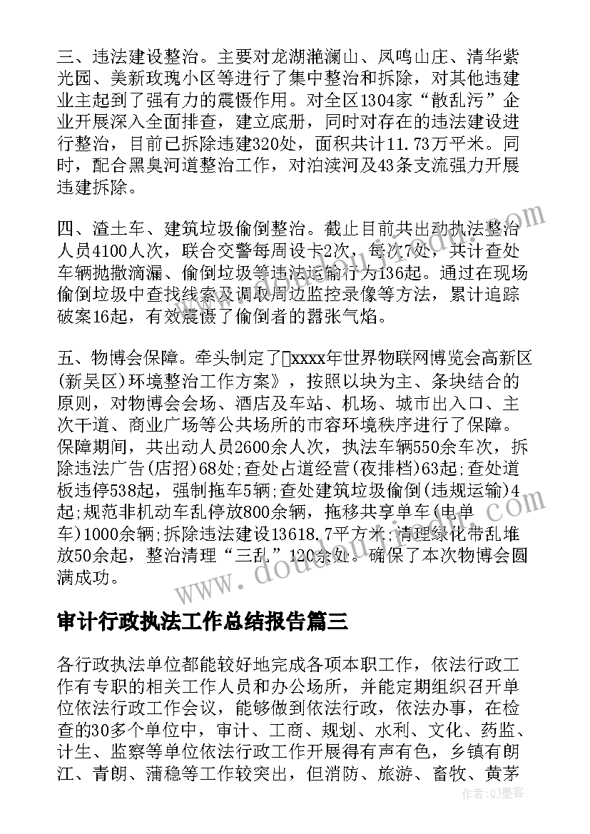 最新审计行政执法工作总结报告(模板6篇)