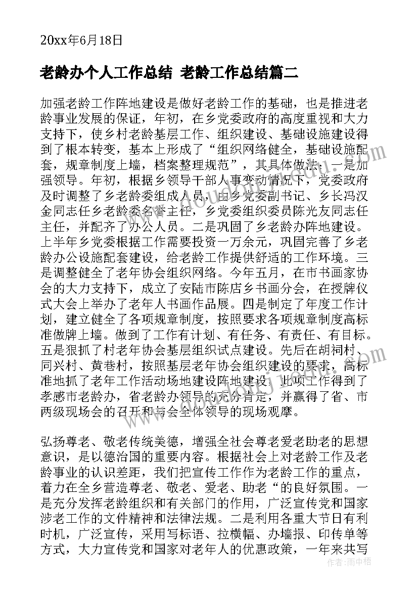 2023年老龄办个人工作总结 老龄工作总结(通用6篇)