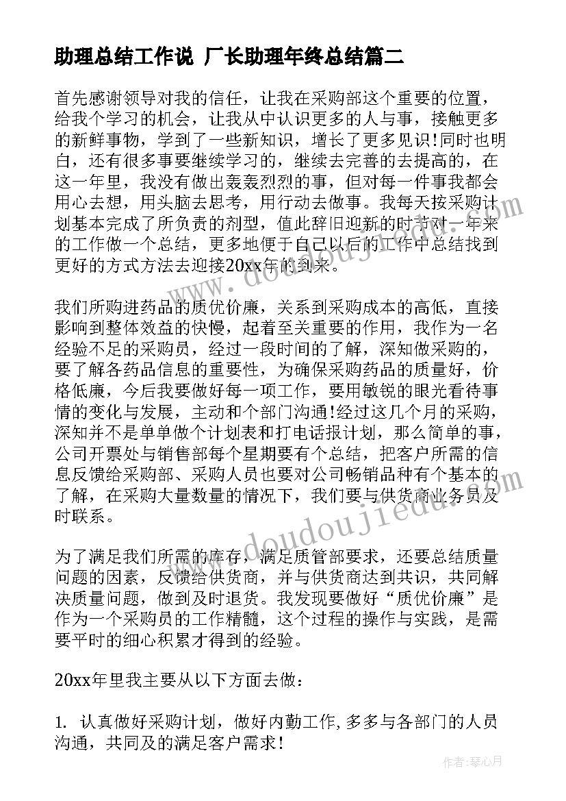 助理总结工作说 厂长助理年终总结(优质5篇)