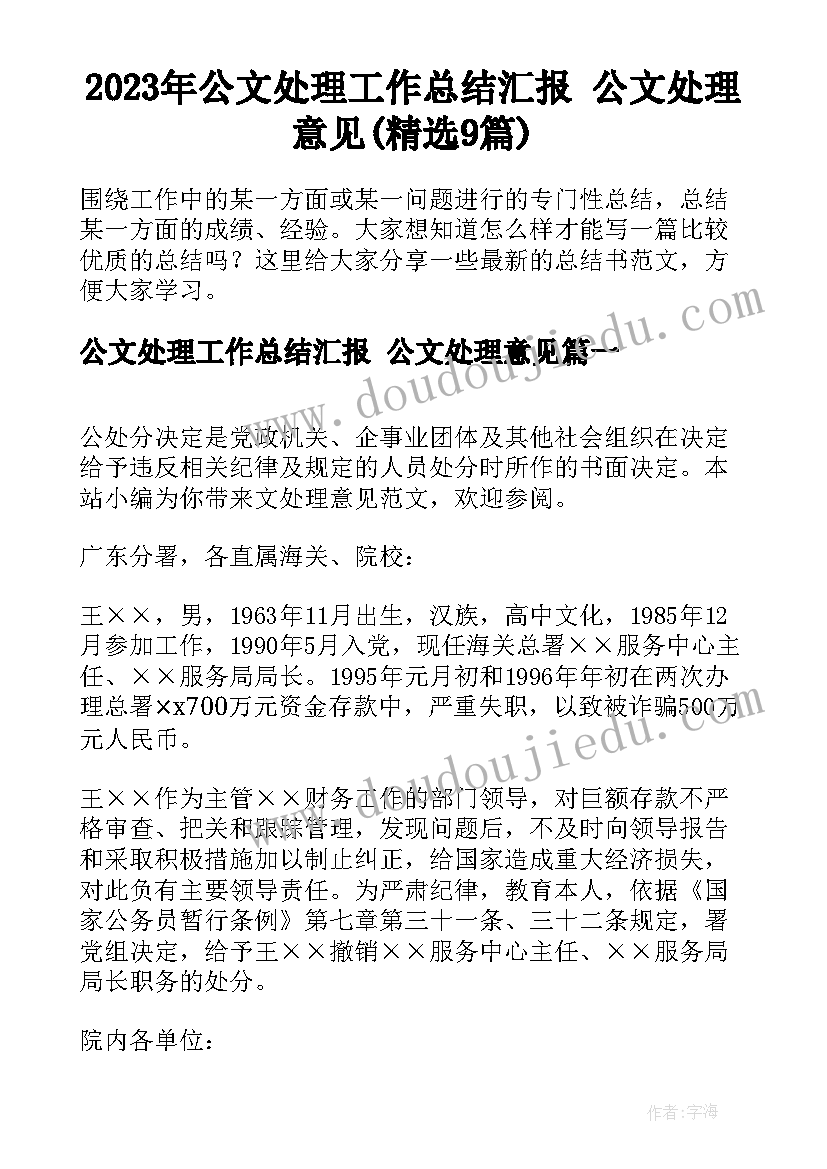 2023年公文处理工作总结汇报 公文处理意见(精选9篇)