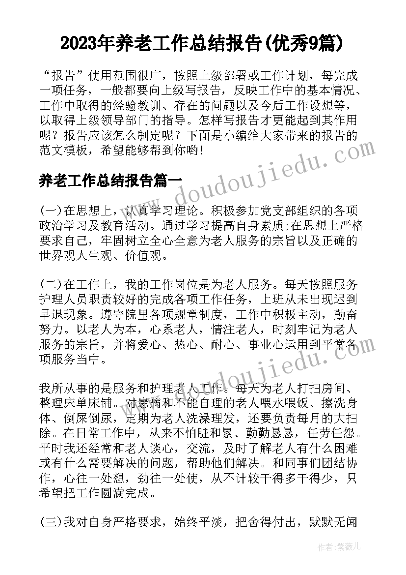 2023年养老工作总结报告(优秀9篇)