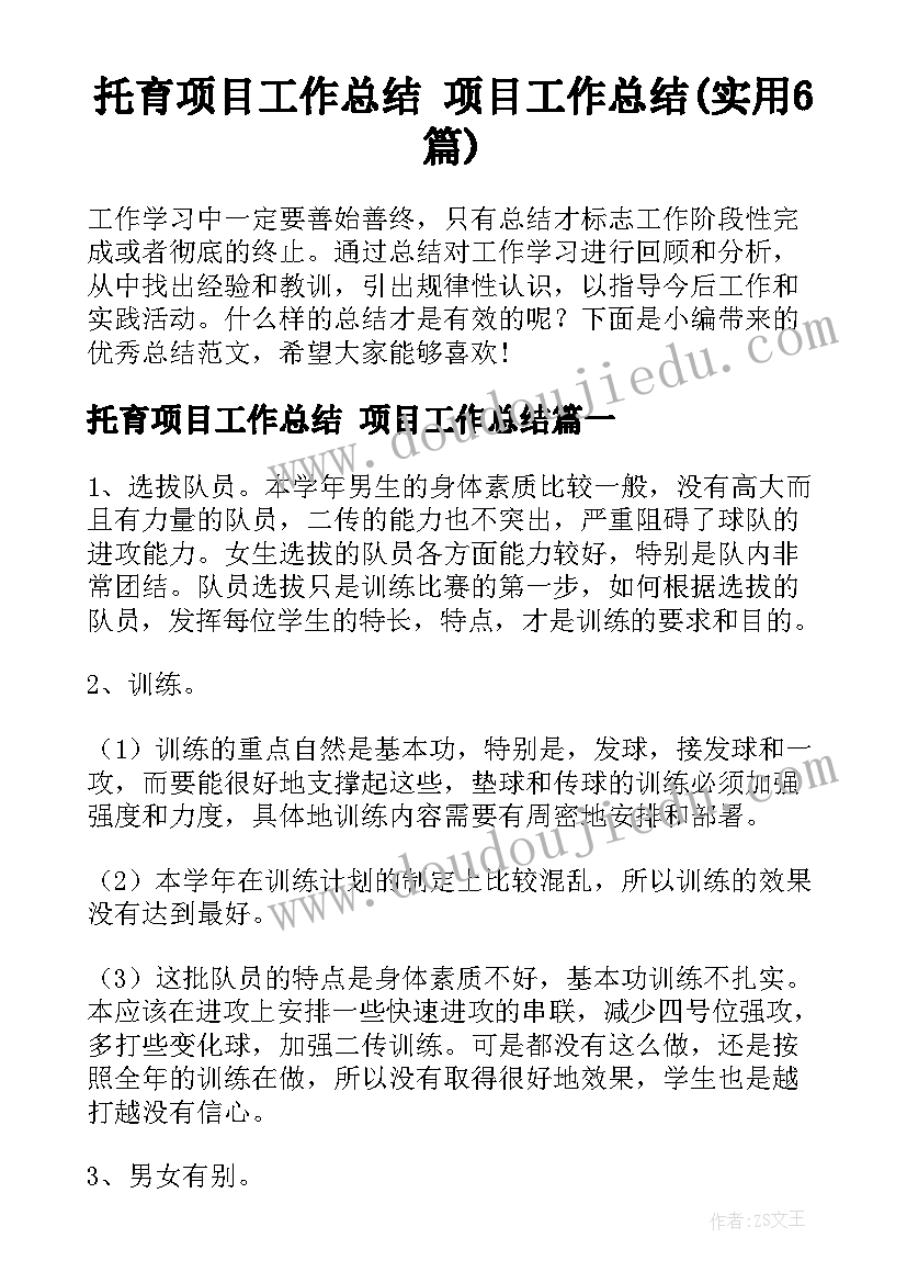 托育项目工作总结 项目工作总结(实用6篇)