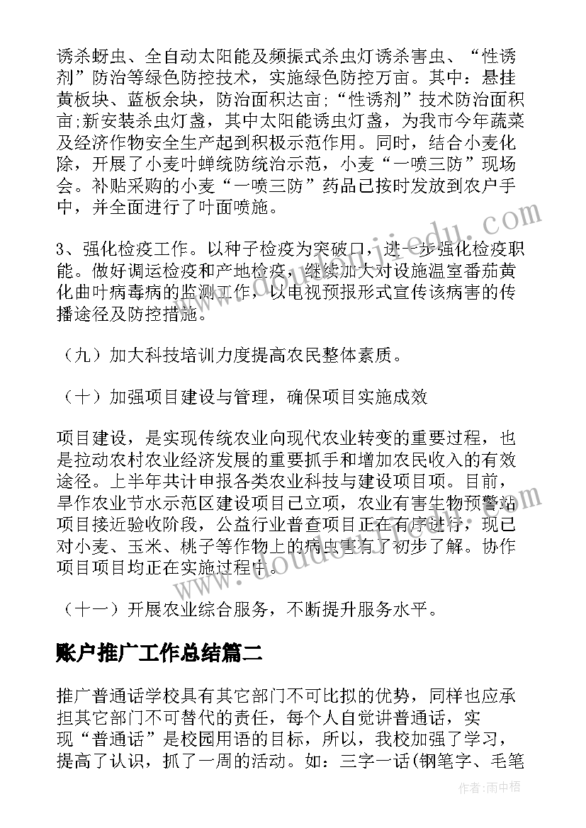 2023年账户推广工作总结(大全5篇)