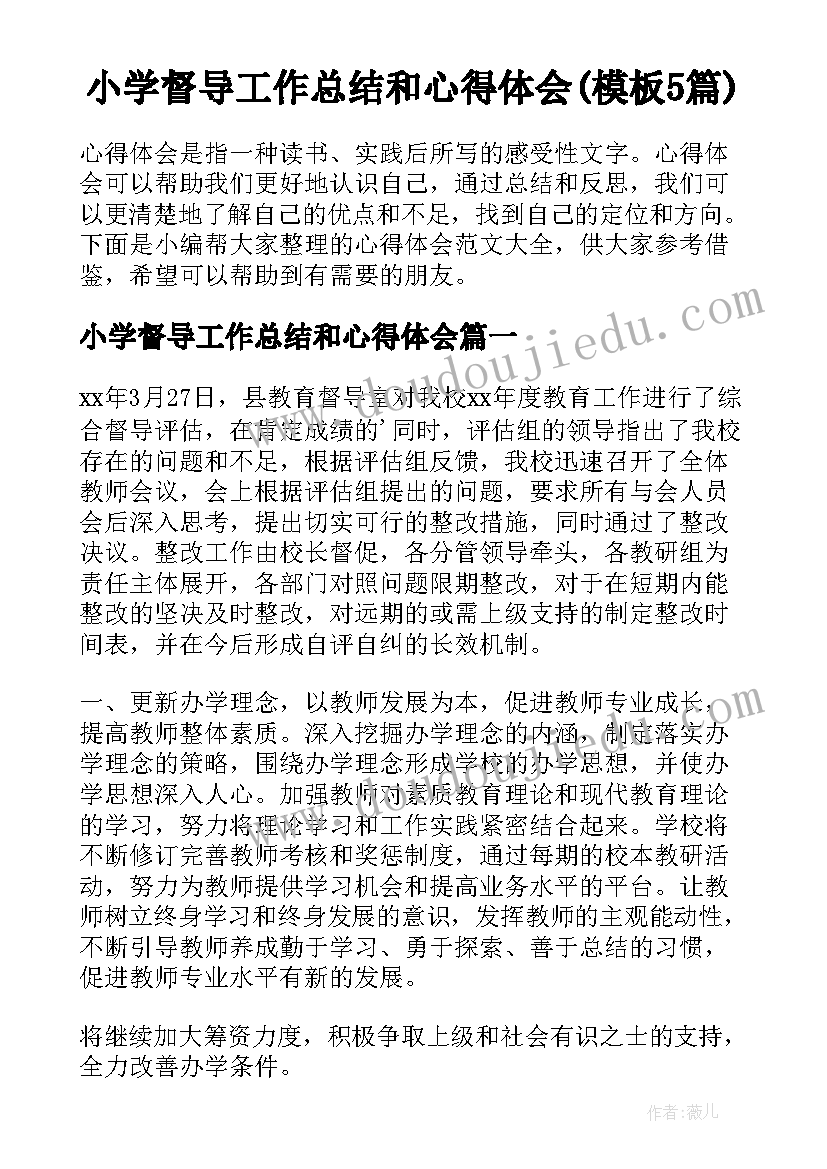 小学督导工作总结和心得体会(模板5篇)