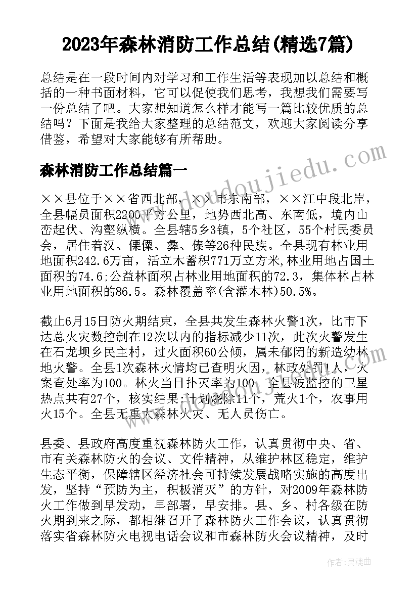 2023年森林消防工作总结(精选7篇)