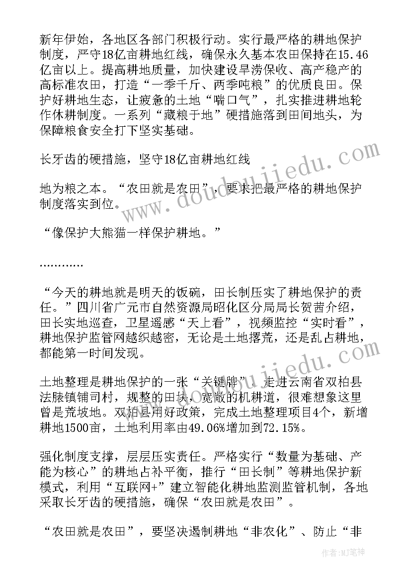 2023年县政府落实粮食安全 粮食安全心得体会(汇总6篇)