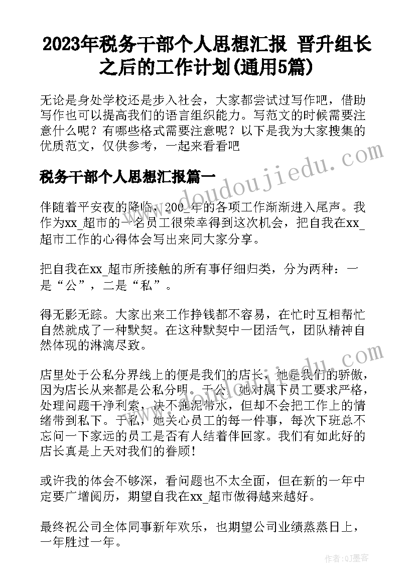 2023年税务干部个人思想汇报 晋升组长之后的工作计划(通用5篇)