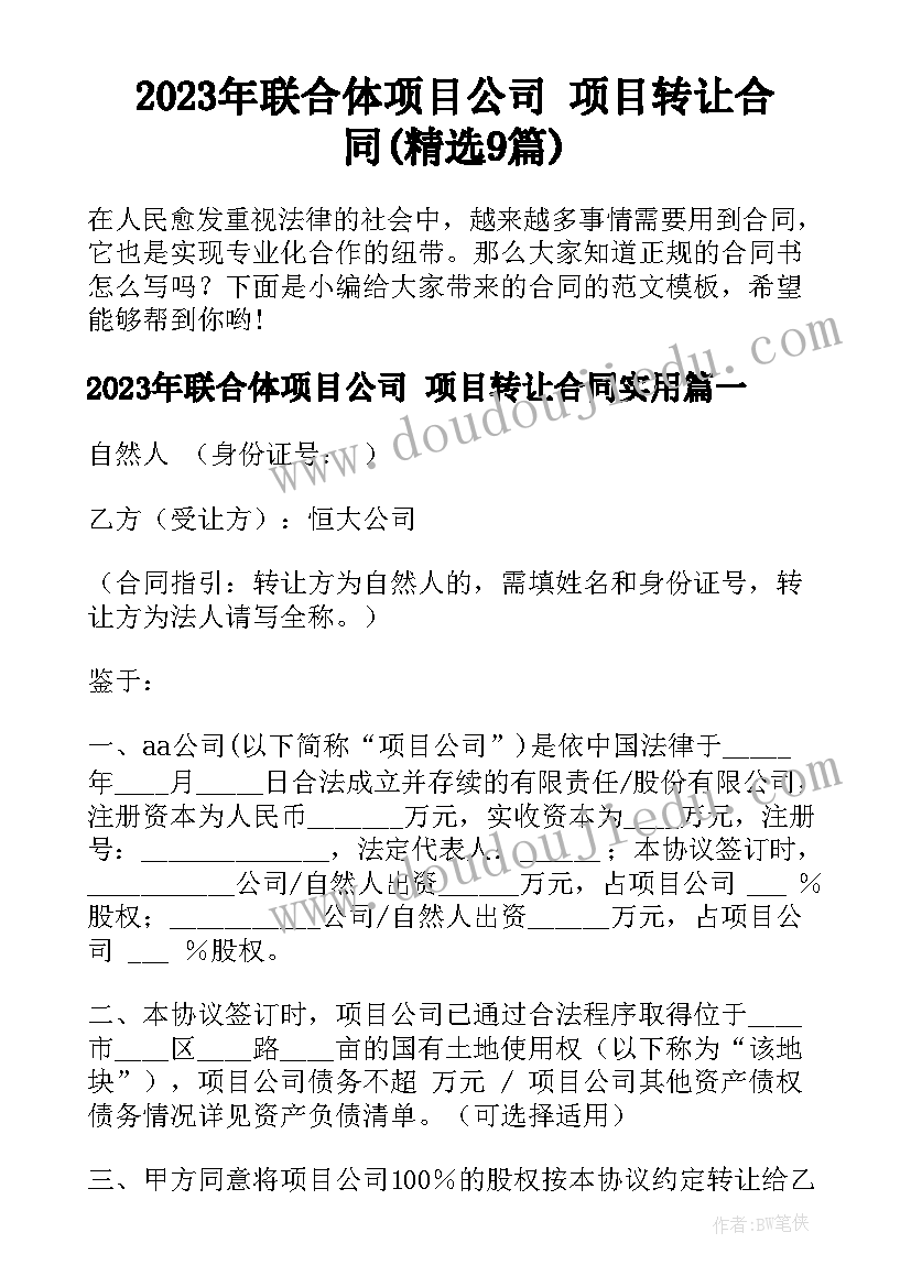 2023年联合体项目公司 项目转让合同(精选9篇)