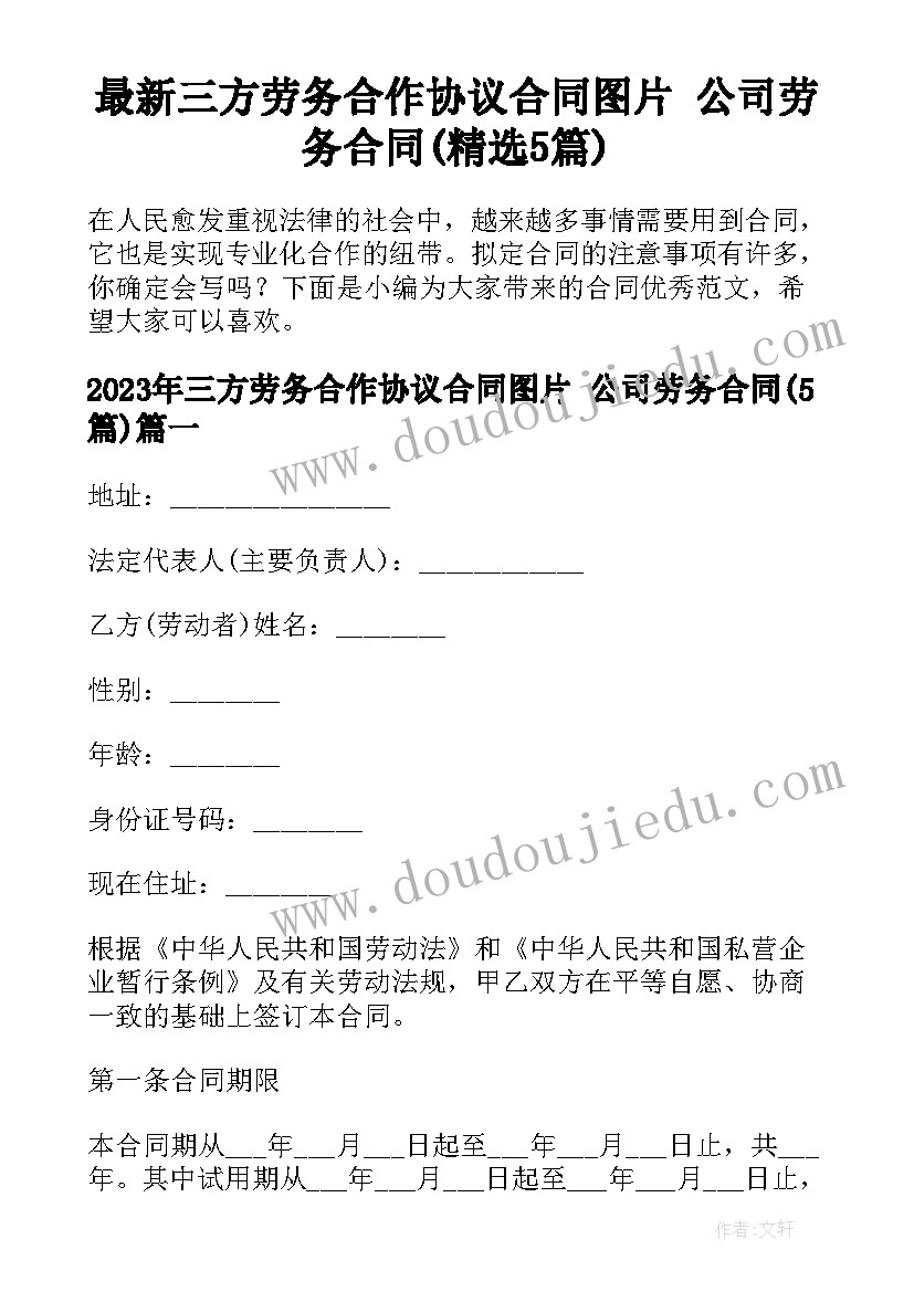 2023年经典人生感悟语录短句(实用7篇)