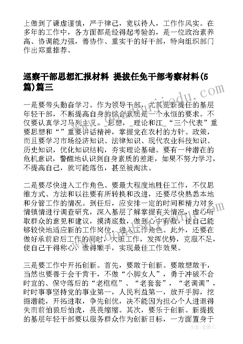 2023年巡察干部思想汇报材料 提拔任免干部考察材料(大全5篇)