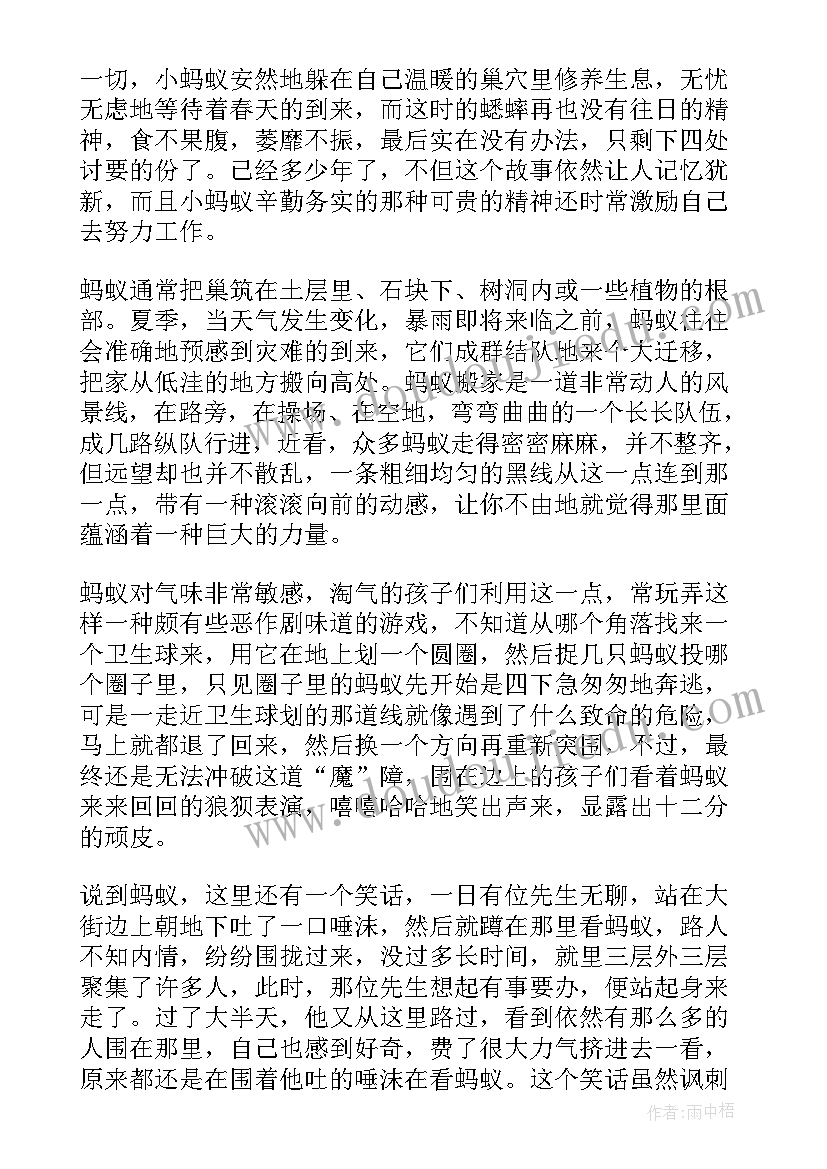 2023年睿智的红蚂蚁演讲稿 蚂蚁的团队精神演讲稿(通用5篇)