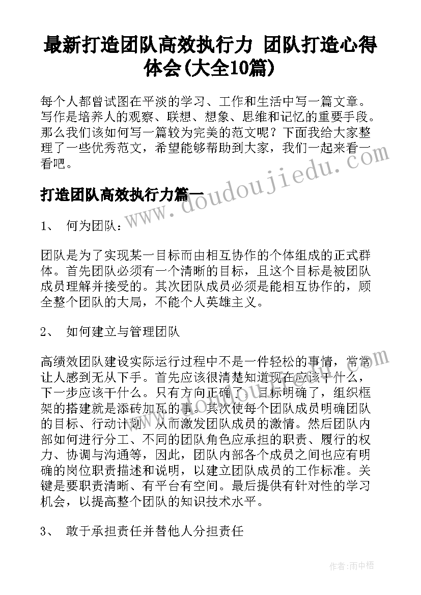 最新打造团队高效执行力 团队打造心得体会(大全10篇)