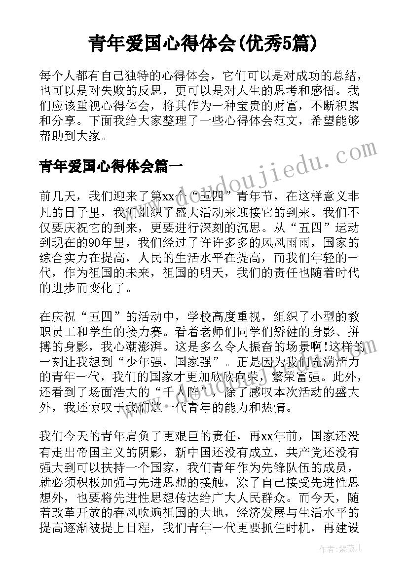 青年爱国心得体会(优秀5篇)