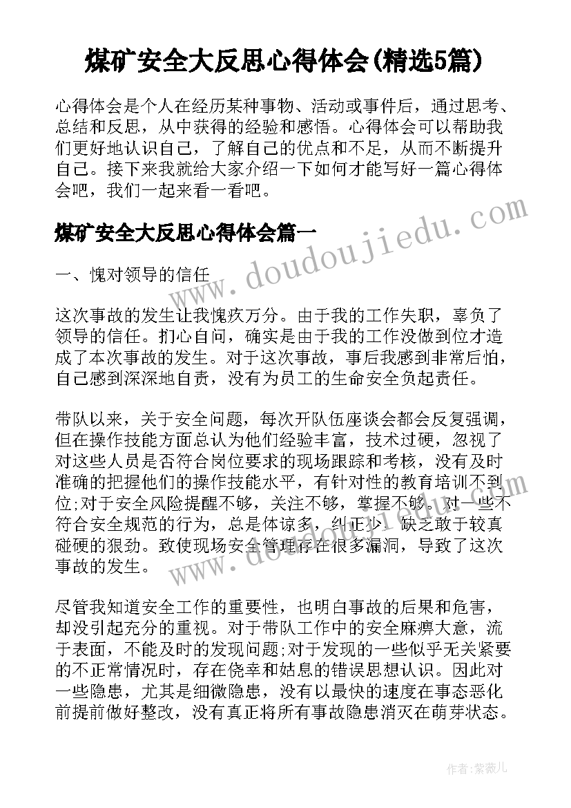 煤矿安全大反思心得体会(精选5篇)