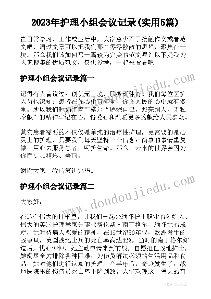 2023年护理小组会议记录(实用5篇)