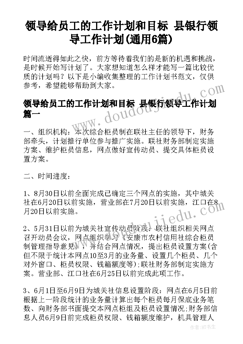 领导给员工的工作计划和目标 县银行领导工作计划(通用6篇)