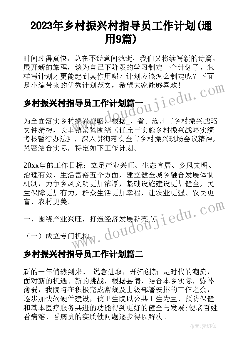 2023年乡村振兴村指导员工作计划(通用9篇)