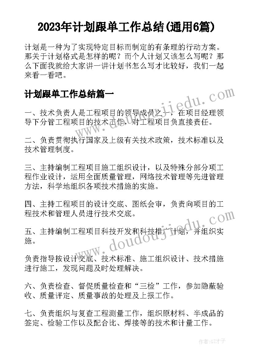 2023年计划跟单工作总结(通用6篇)