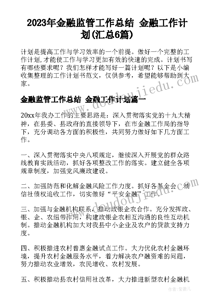 2023年金融监管工作总结 金融工作计划(汇总6篇)