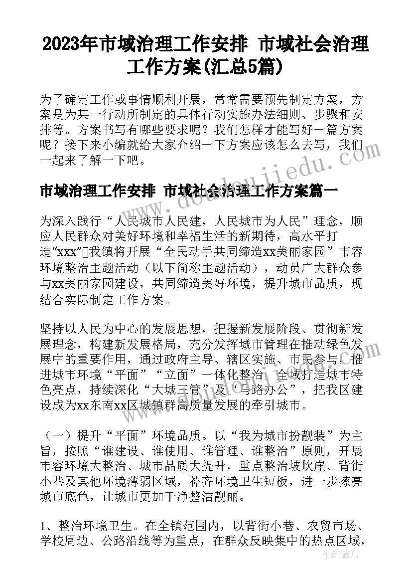 2023年市域治理工作安排 市域社会治理工作方案(汇总5篇)