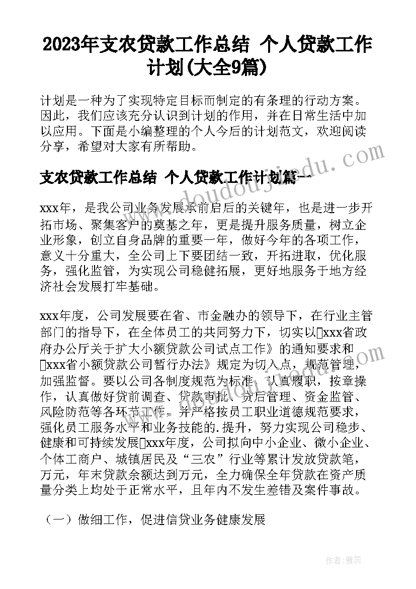 2023年支农贷款工作总结 个人贷款工作计划(大全9篇)