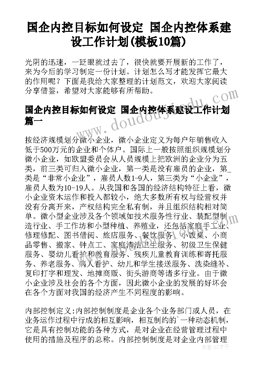 国企内控目标如何设定 国企内控体系建设工作计划(模板10篇)