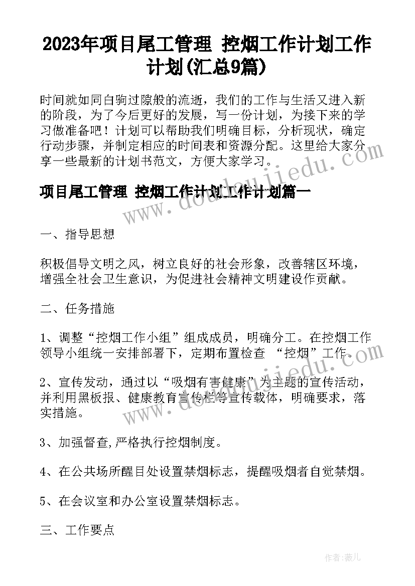 2023年项目尾工管理 控烟工作计划工作计划(汇总9篇)