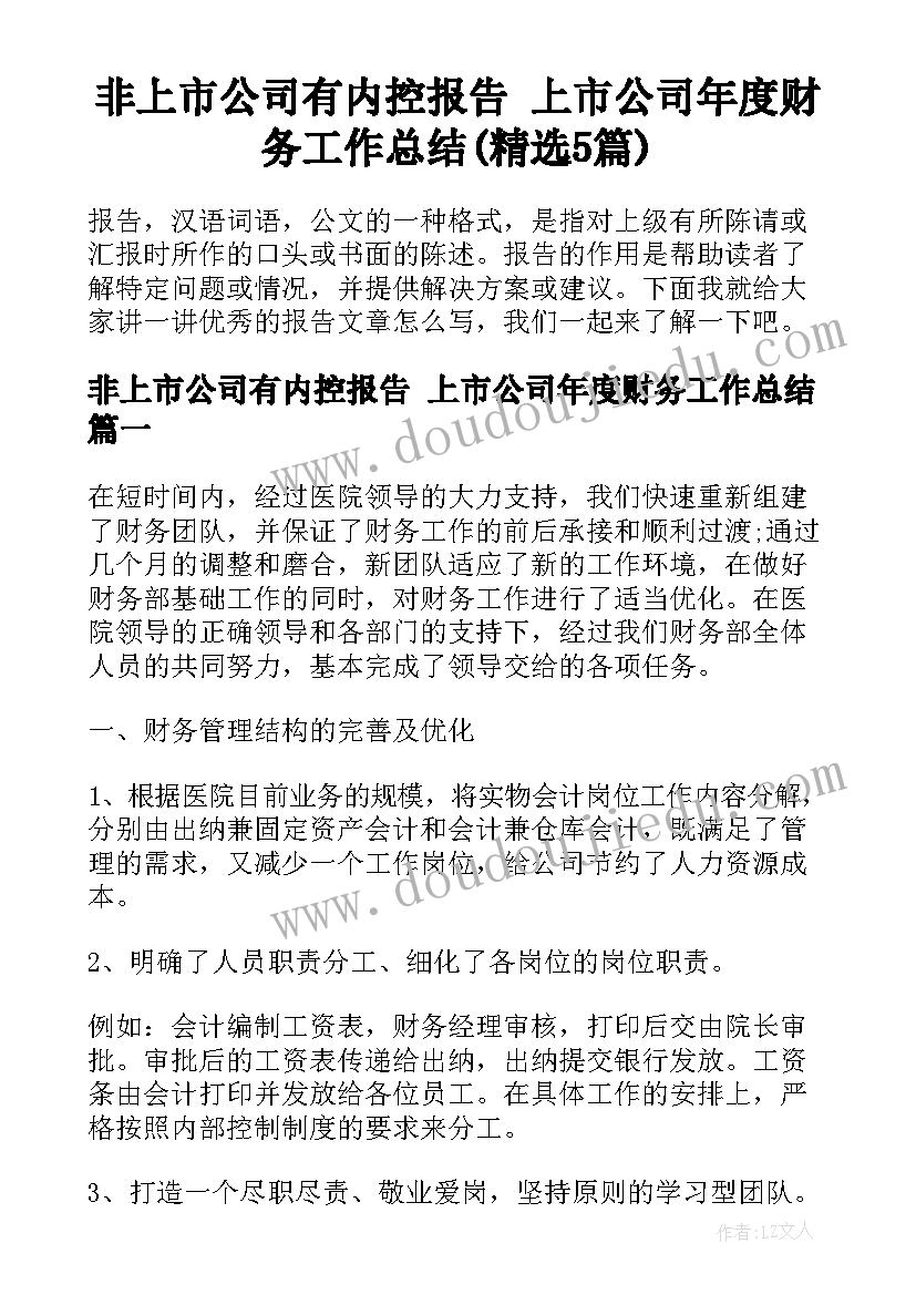 非上市公司有内控报告 上市公司年度财务工作总结(精选5篇)