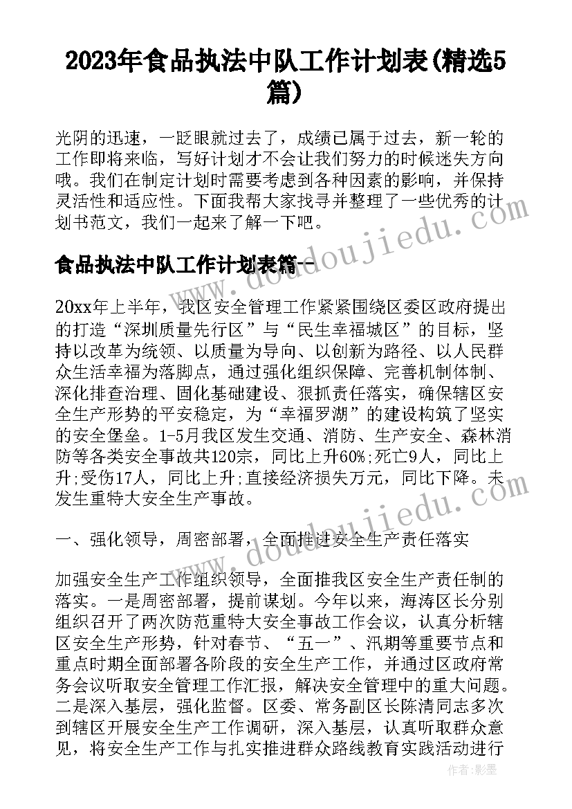 2023年食品执法中队工作计划表(精选5篇)