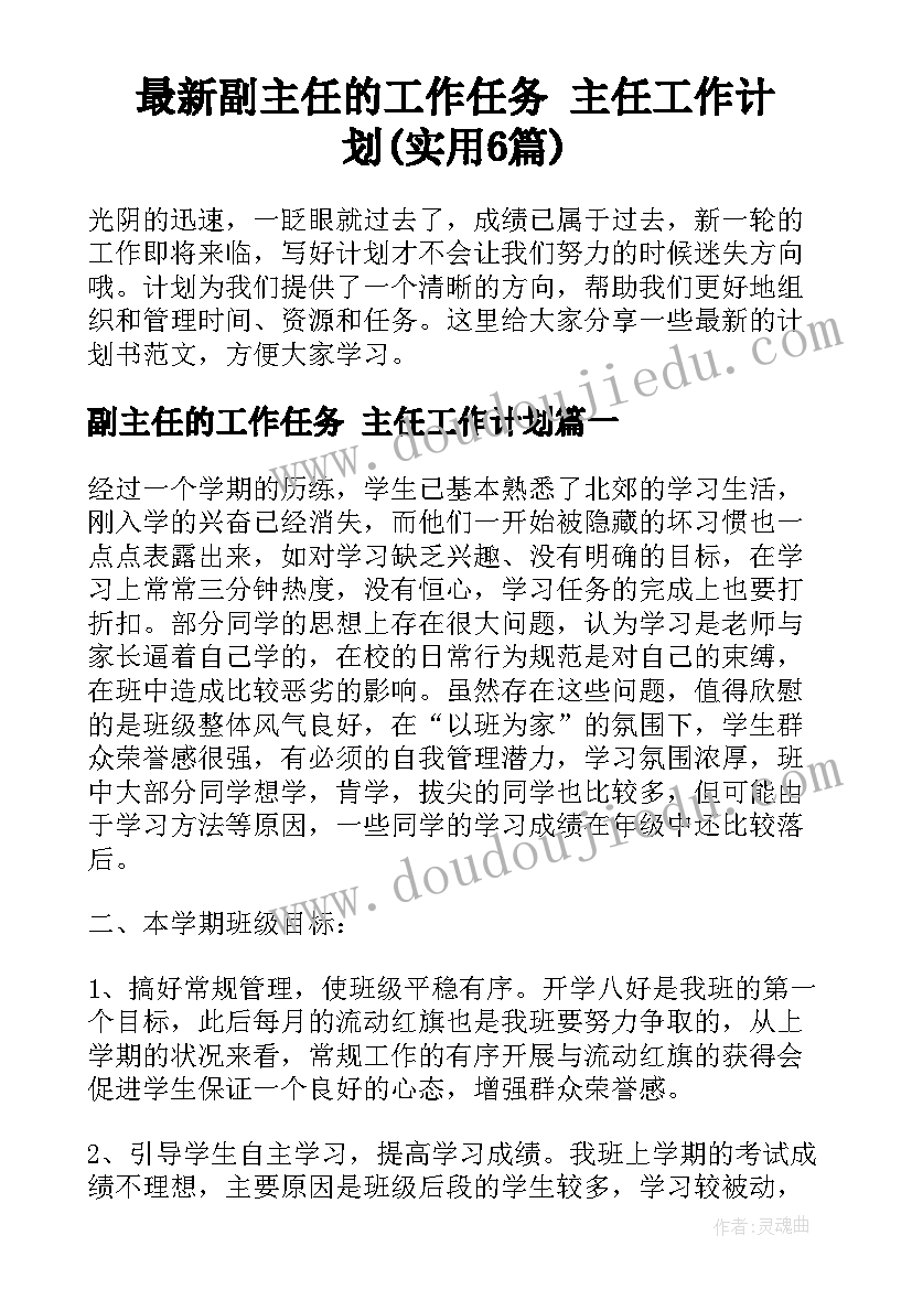 最新副主任的工作任务 主任工作计划(实用6篇)