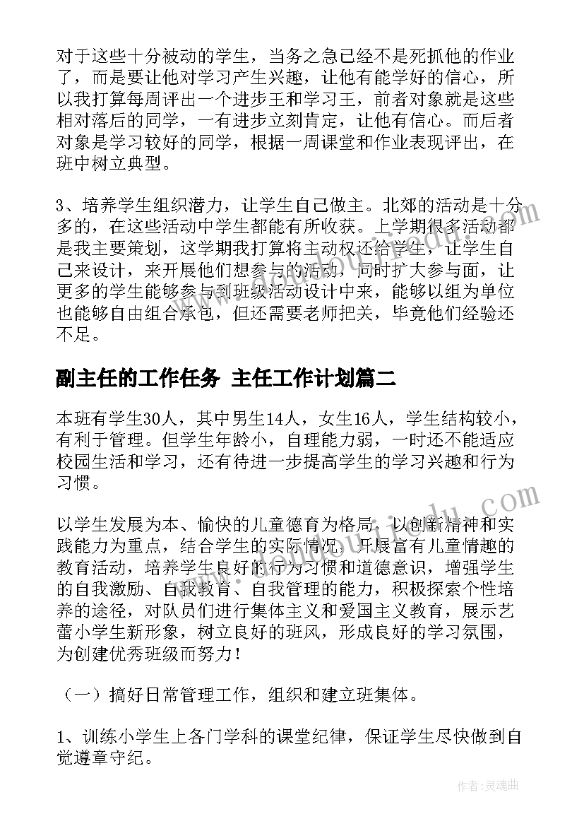 最新副主任的工作任务 主任工作计划(实用6篇)