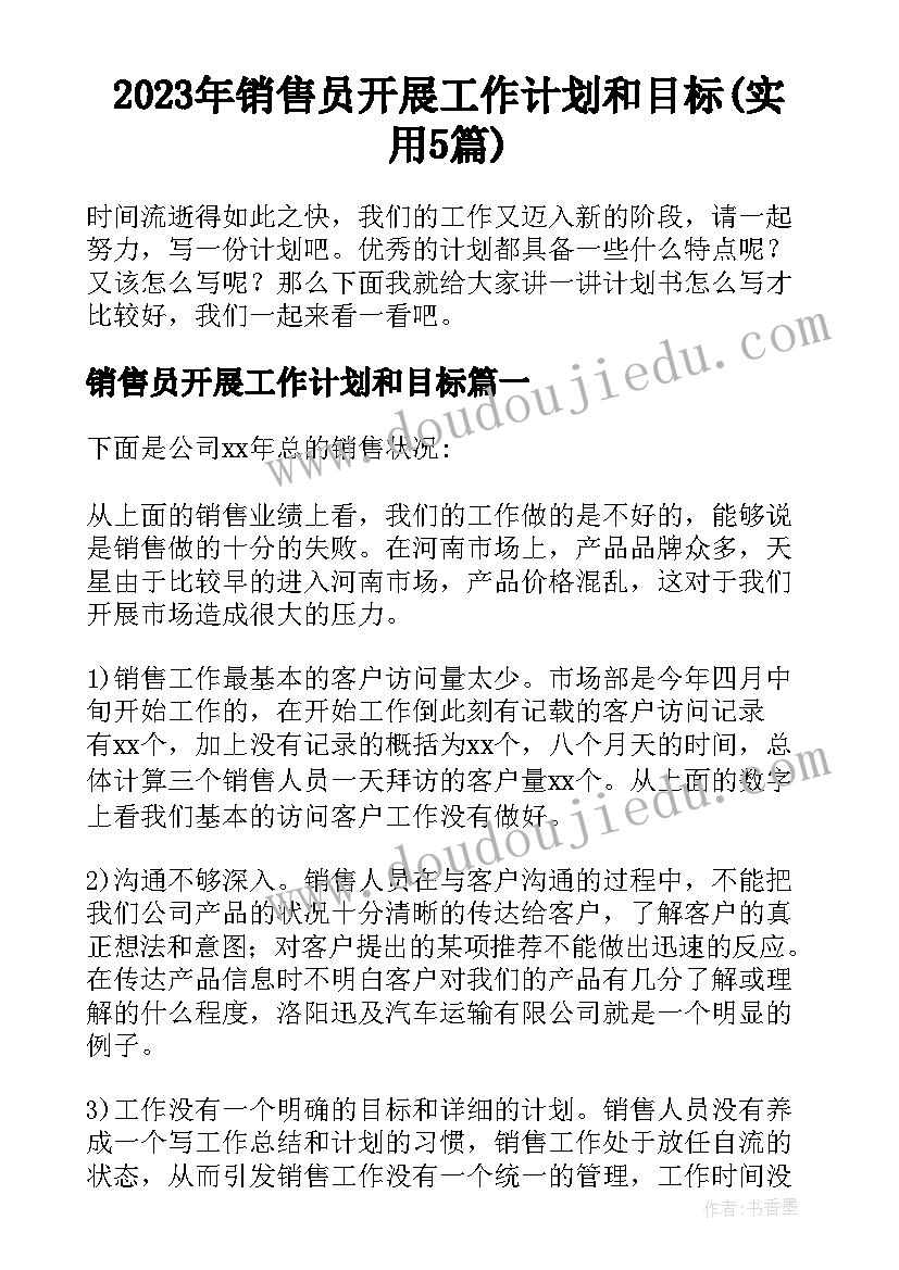 2023年销售员开展工作计划和目标(实用5篇)