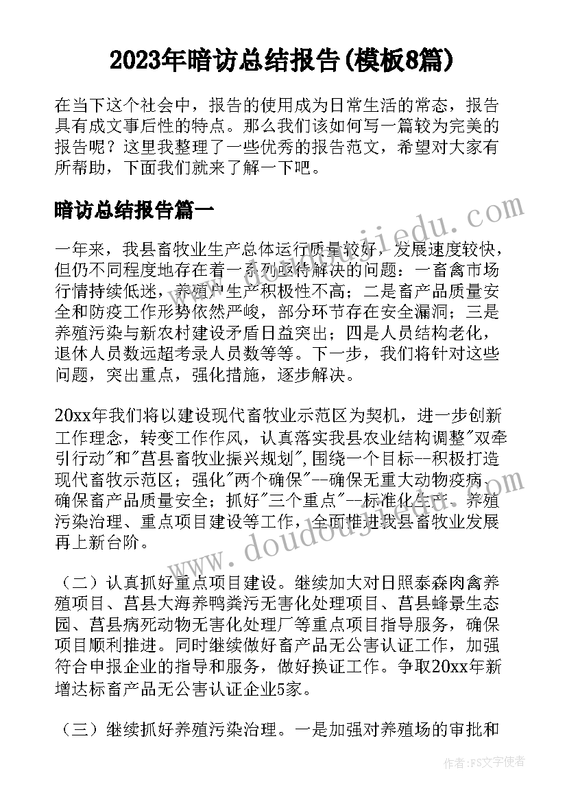 2023年暗访总结报告(模板8篇)