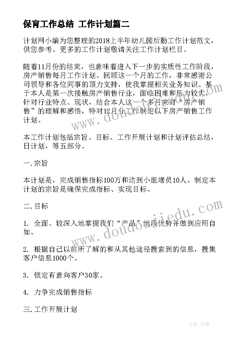 2023年保肓工作总结 工作计划(精选8篇)