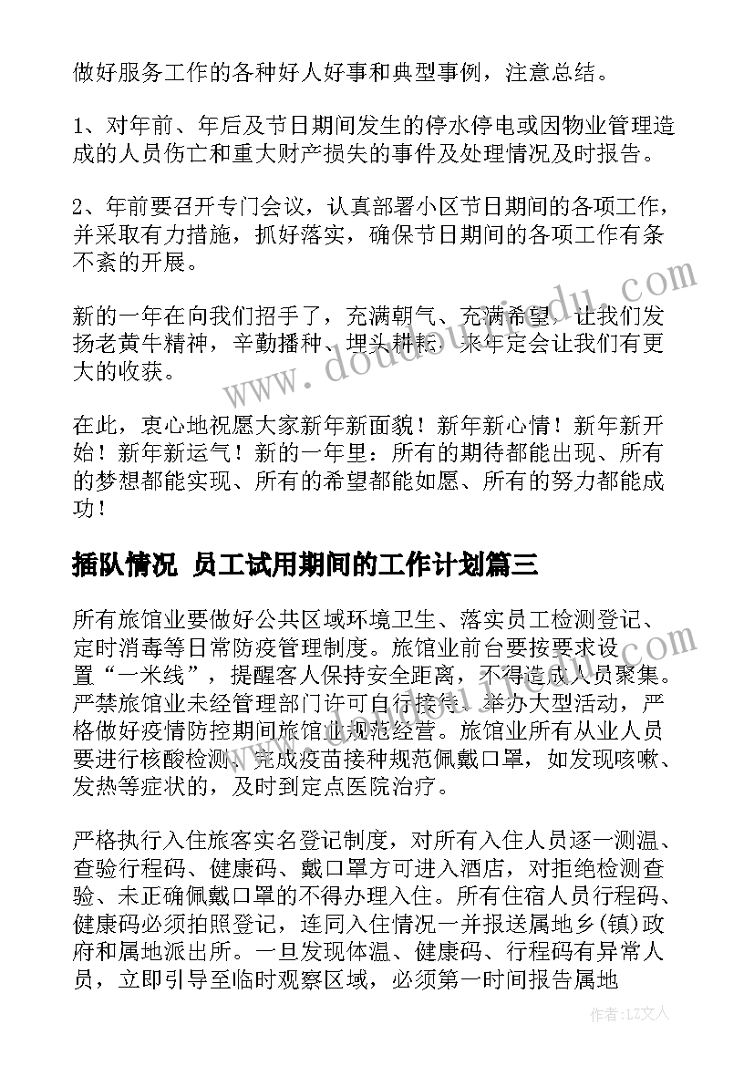 最新插队情况 员工试用期间的工作计划(优质5篇)