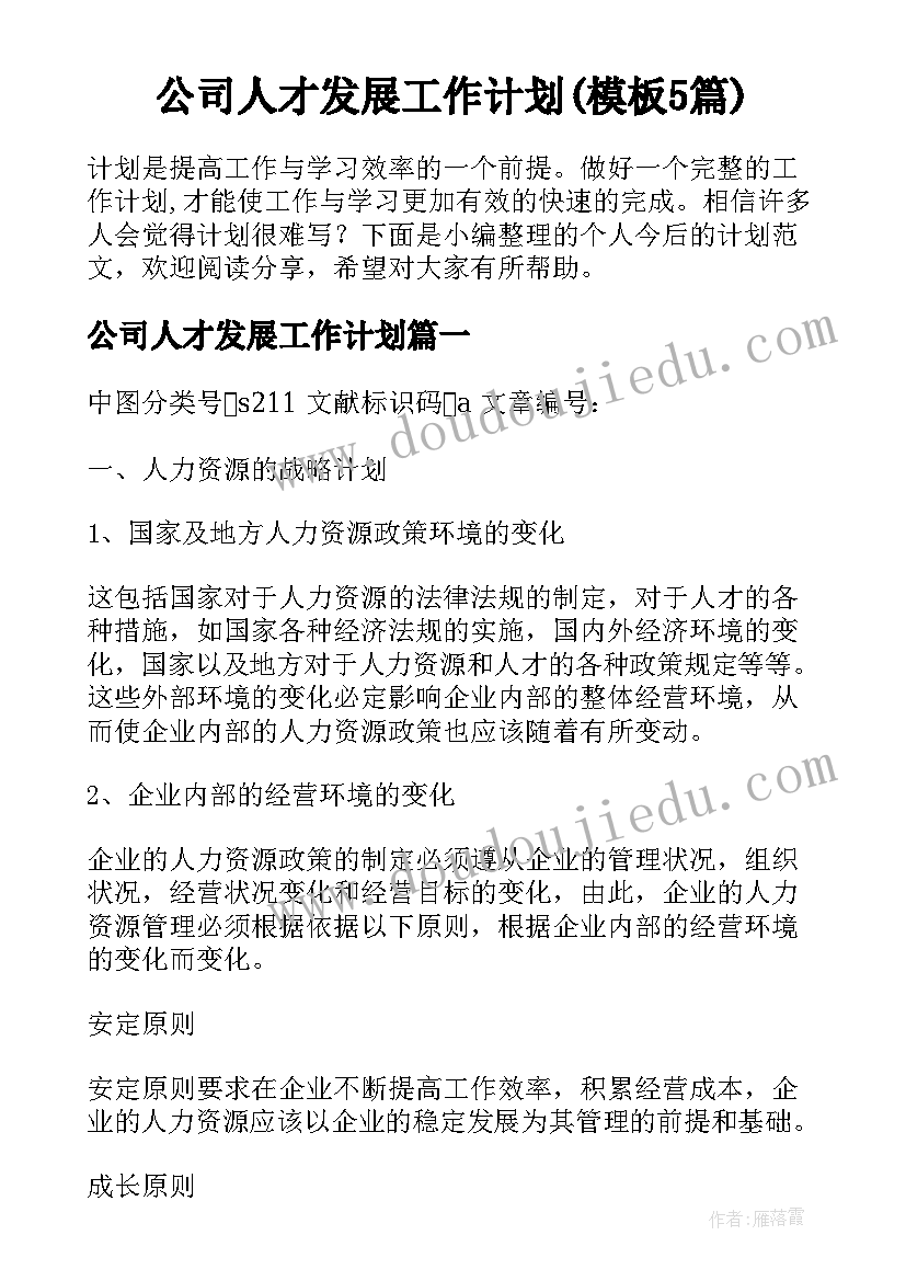 公司人才发展工作计划(模板5篇)