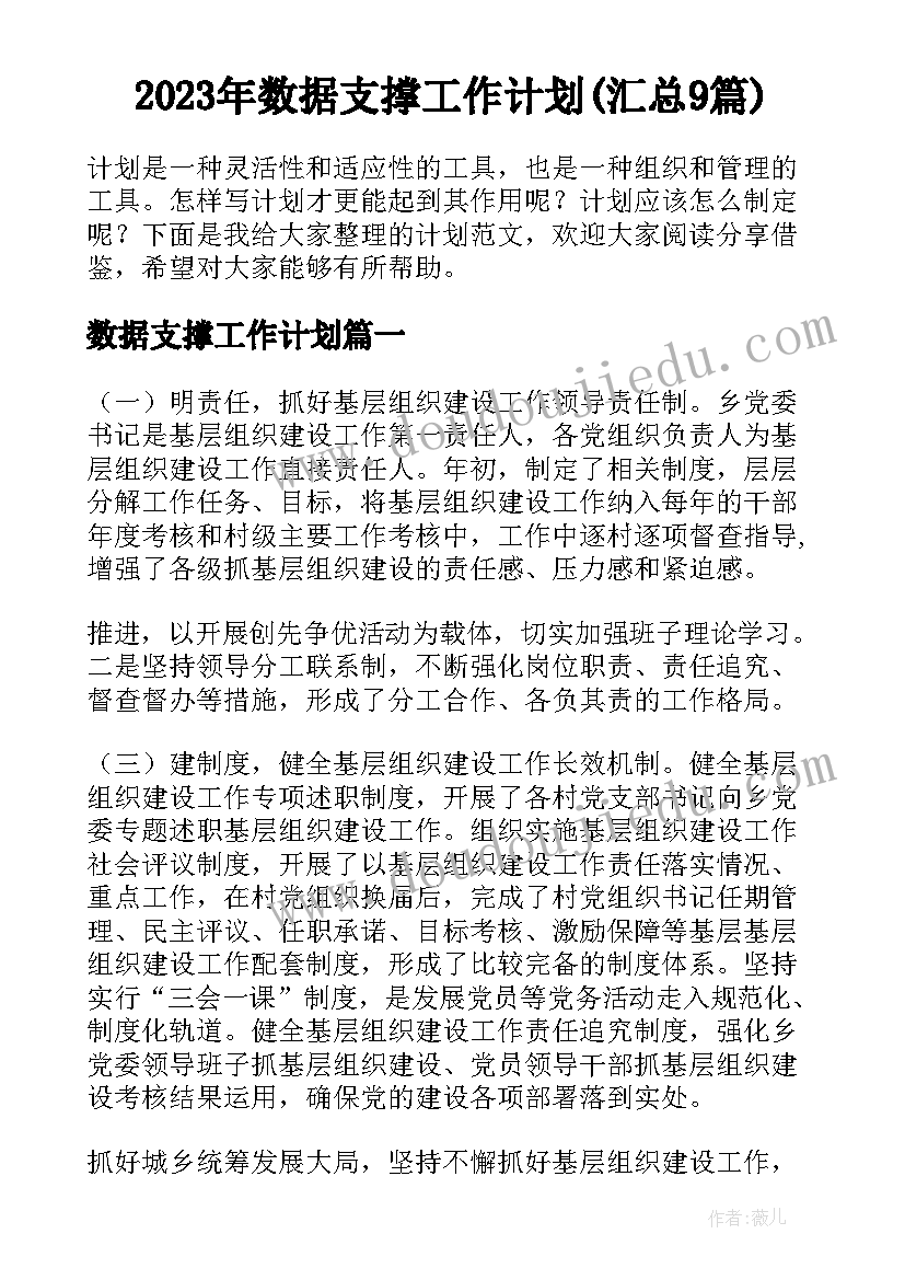 2023年数据支撑工作计划(汇总9篇)