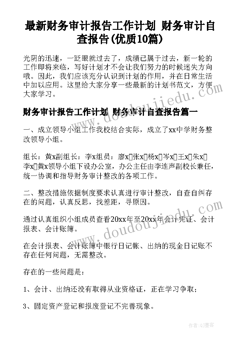 最新财务审计报告工作计划 财务审计自查报告(优质10篇)