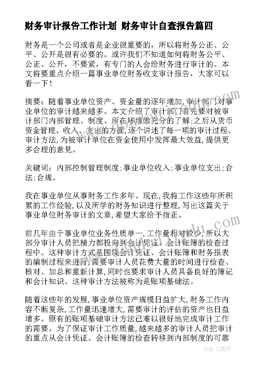 最新财务审计报告工作计划 财务审计自查报告(优质10篇)