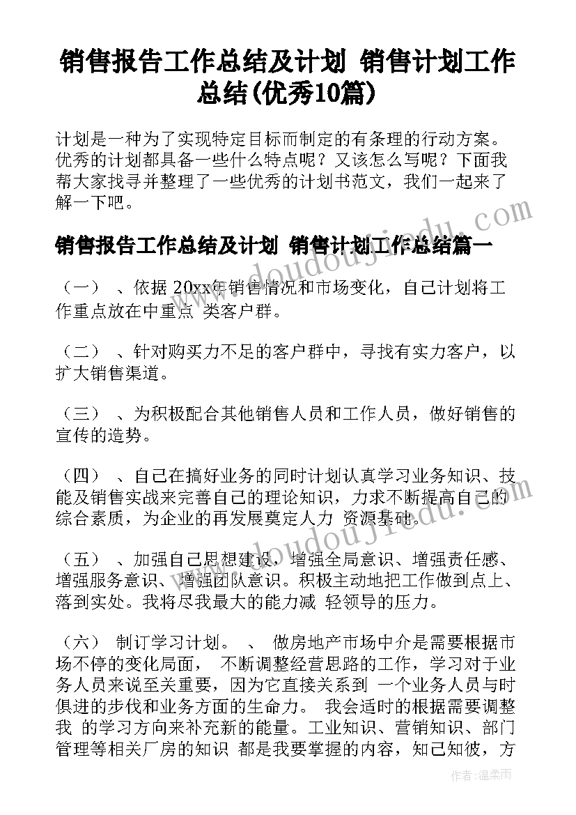 销售报告工作总结及计划 销售计划工作总结(优秀10篇)