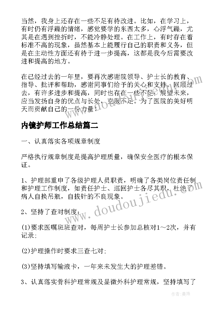 内镜护师工作总结(汇总9篇)