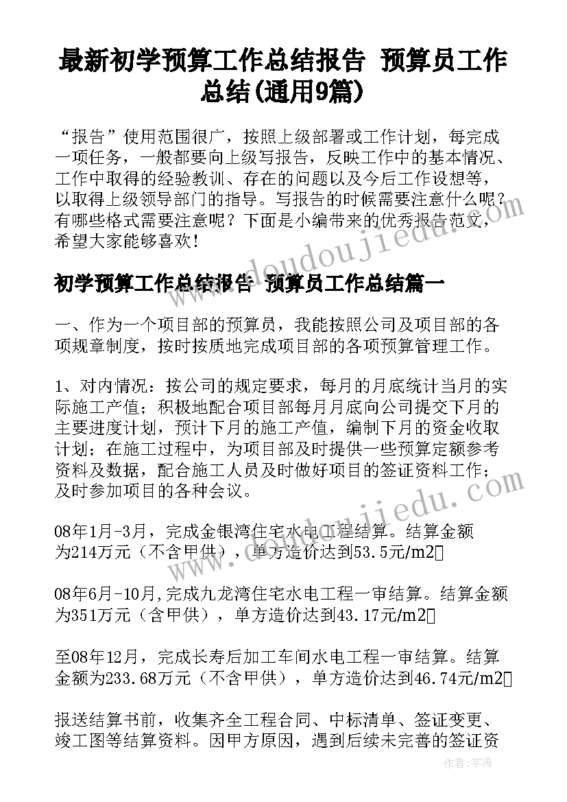 最新初学预算工作总结报告 预算员工作总结(通用9篇)