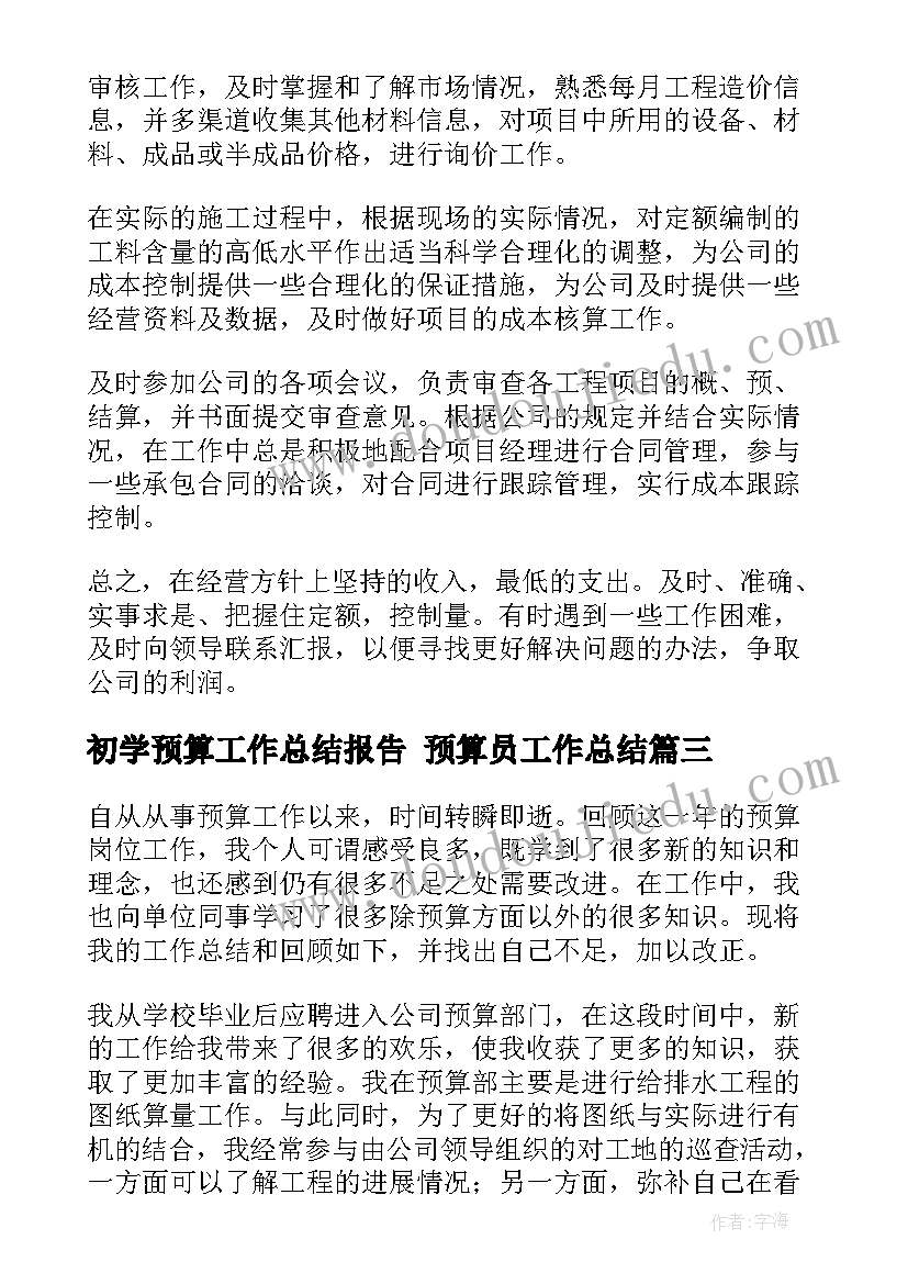 最新初学预算工作总结报告 预算员工作总结(通用9篇)